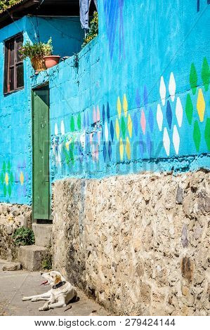 Santa Catarina Palopo, Lake Atitlan, Guatemala - December 29, 2018: Dog Rests Outside Painted House 