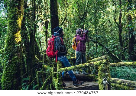 Couples Traveling, Relax In Winter.enjoy Hiking Walking Travel To Study Nature In The Rainforest. At