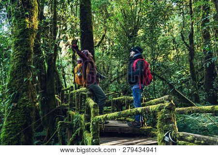 Couples Traveling, Relax In Winter. Walking Travel To Study Nature In The Rainforest. At The Angka, 
