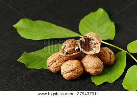Dry Shelled Walnut And Green Walnut Leaves, On Black Background, Dry Shelled Walnut And Green Walnut