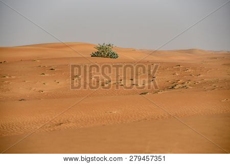 Pink Rock, Sharjah Desert Area, One Of The Most Visited Places For Off-roading, Dune Bashing And Adv