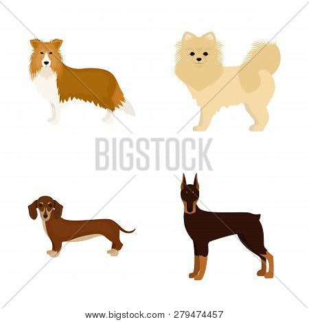Vector Illustration Of  Cute  And  Sign. Set Of  Cute  And  Stock Vector Illustration.