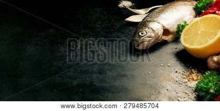Closeup Of Fish With Vegetables And Spices. Cooking Or Healthy Concept, Copy Space, Toned