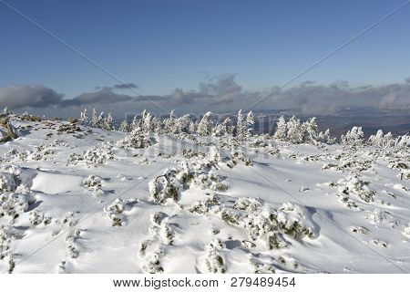Mountain Winter Landscape In The Giant Mountains In Poland