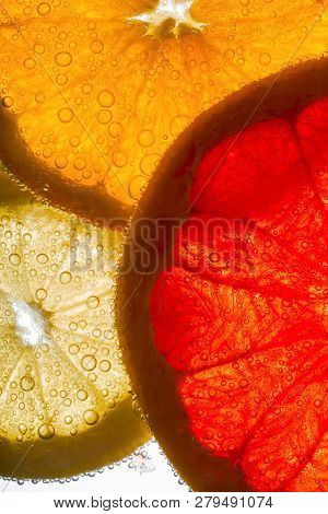 Slices Of Orange, Lemon And Grapefruit Lie In Water Full Of Air