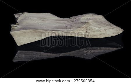 Piece Of Natural Petrified Wood With Opal On Black Background With Reflection