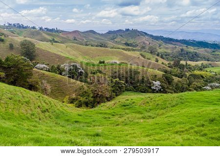 View Over The Coffee Growing Region Of Colombia