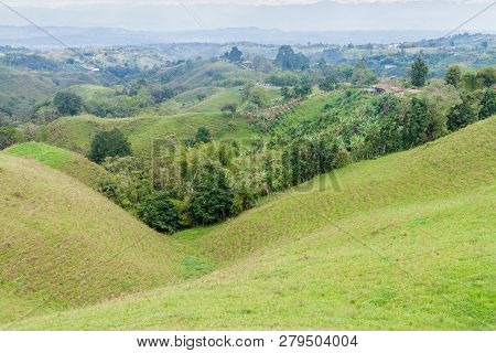 View Over The Coffee Growing Region Of Colombia