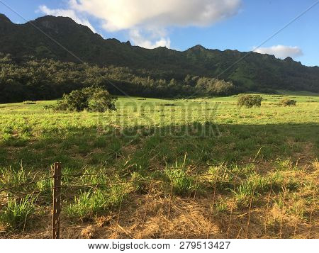 Kauai Grassland And Farmland On A Clear Day