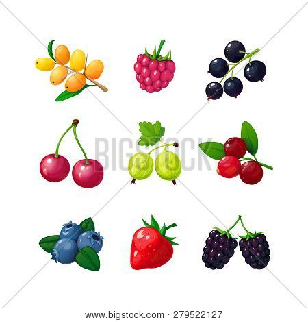 Cartoon Berries. Strawberry Raspberry Cherry Blueberry Gooseberry Blackberry Buckthorn. Cartoon Berr