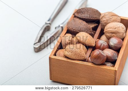 Different Kinds Of Nuts In The Shell: Hazelnut, Walnut, Almond And Brazil Nuts In The Wooden Box Wit