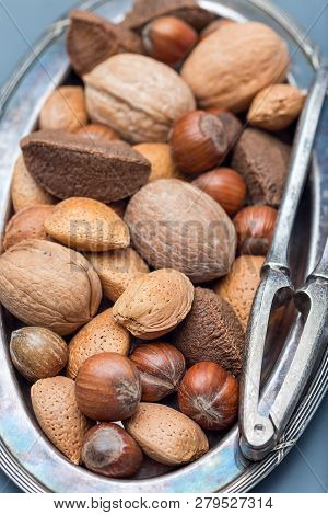 Different Kinds Of Nuts In The Shell: Hazelnut, Walnut, Almond And Brazil Nuts On The Plate With Nut