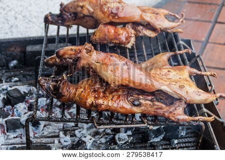 Roasted Guinea Pigs On A Market In Banos De Agua Santa, Popular Tourist Destination In Ecuador