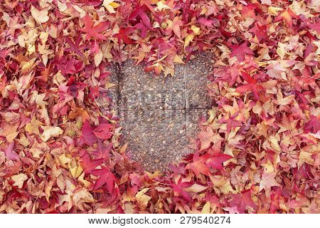 Autumn Background. Colorful Fall Leaves On Ground With Empty Heart Sahpe.