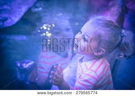 Surprised Excited Beautiful Child Girl Looking With Admiration Through Aquarium Glass In Blue Purple