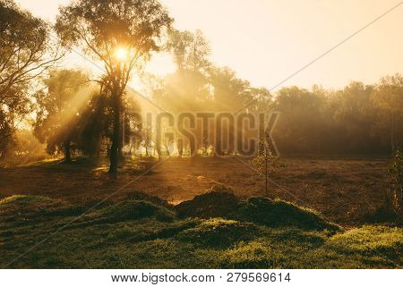Morning Sun Rays In Autumn Park Scene