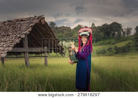 Portrait Of Woman Tribal Lisu In Traditional Dress And Jewelry Costume In Rice Fields., Lifestyle Of