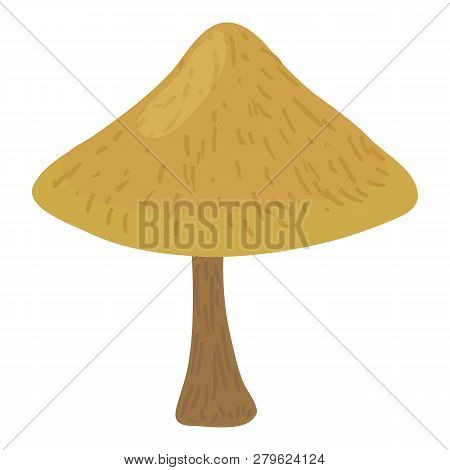 Boletus Badius Icon. Cartoon Illustration Of Boletus Badius Icon For Web