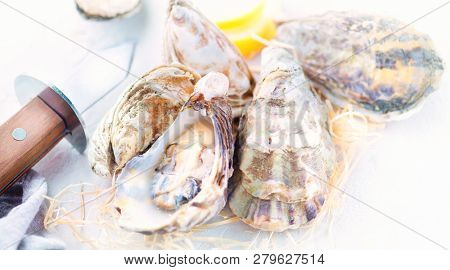 Fresh Oysters close-up with knife, served table with oysters. Healthy sea food. Oyster dinner in restaurant. Gourmet food. border design with copy space for your text. Top view, flatlay. Wide screen