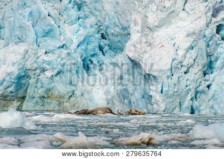 Arctic Landscape