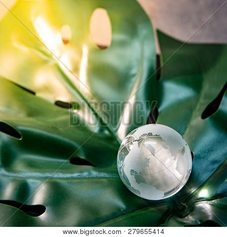 World Globe Cystal Glass On Green Lush Leaf. Environmental Conservation. World Environment Day. Glob