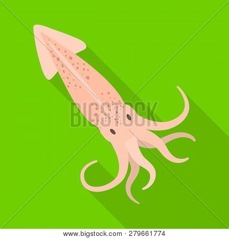 Vector Design Of Food And Sea Logo. Set Of Food And Healthy Stock Vector Illustration.