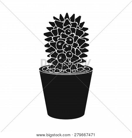 Vector Illustration Of Cactus And Pot Icon. Set Of Cactus And Cacti Vector Icon For Stock.