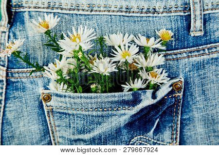 Bouquet Of White Flower In The Pocket Of A Jeans