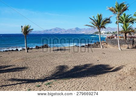 Puerto Del Carmen Beach In Lanzarote, Canary Islands, Spain. Blue Sea, Palm Trees, Selective Focus