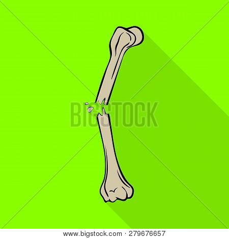 Isolated Object Of Bone And Skeleton Symbol. Set Of Bone And Human Stock Vector Illustration.