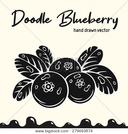 Blueberry Vector Illustration, Berries Images. Doodle Blueberry Silhouette Vector Illustration. Blue