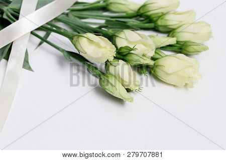 White Blooming Rose Buds On White Background With Copy Space. Tender Roses And Ribbon.