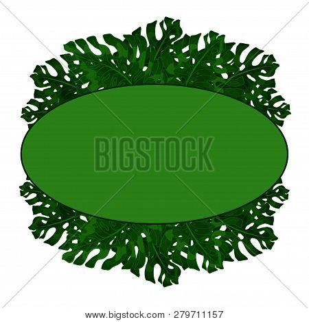 Oval Frame For Text From Exotic, Green Monstera Leaves. Idea For Poster, Postcard, Flyer. Tropical L