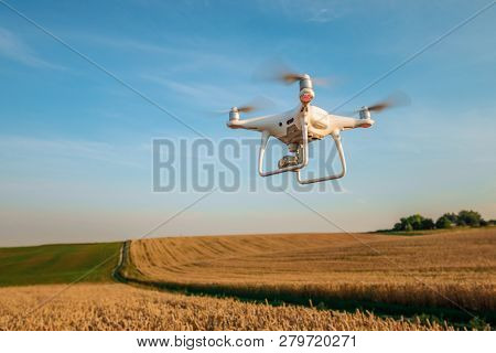 drone quad copter on green corn field