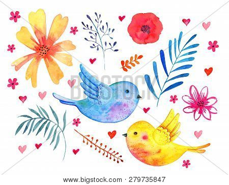Set With Birds Couple And Decorative Plants, Flowers And Leaves.watercolor Hand Drawn Skech Illustra