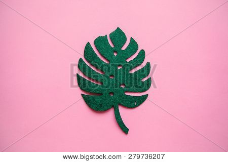 Monstera Leaf On A Pink Background In Minimal Style.