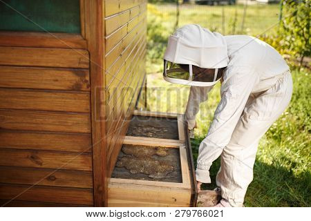 Beekeeper In Suit Is Working At Apiary. Opening Wooden Beehive Apiculture Concept.