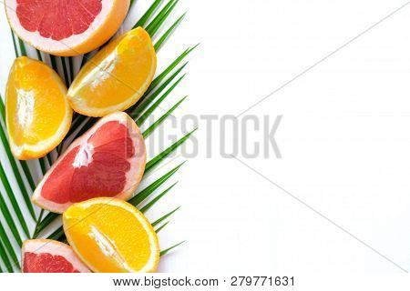 The Basis For The Banner With Palm Leaf And Fruit. Grepfruit, Orange, Palm Leaf With Space For Copis