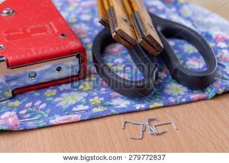 Tacker And Staples Used To Upholster Furniture. Accessories For Employees In The Carpentry Shop.