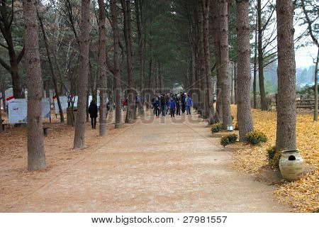 Naminara Republik, Korea