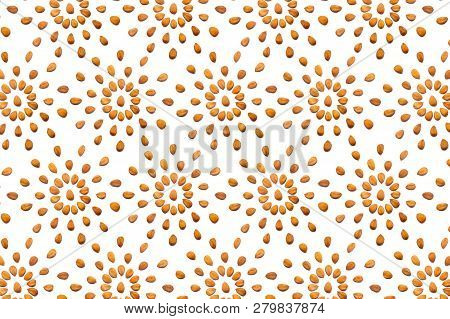 A Collection Of Peeled Apricot Stone Nuts Lies In The Shape Of A Circle Or Sun On An Isolated White 