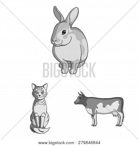 Vector Design Of Animal And Habitat Sign. Set Of Animal And Farm Stock Vector Illustration.