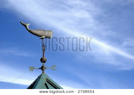 Weather Vane