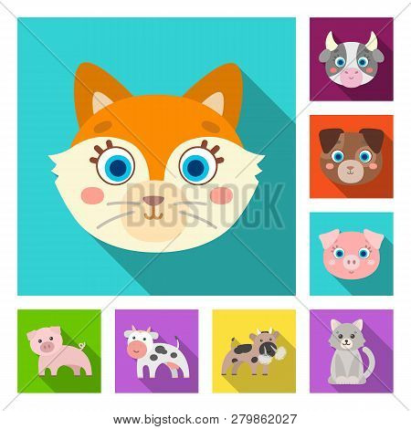 Vector Illustration Of Animal And Habitat Icon. Collection Of Animal And Farm Vector Icon For Stock.