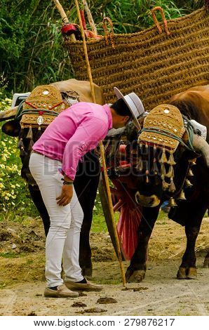 Almayate, Spain - April 21, 2018 Traditional Andalusian Contest Based On The Presentation Of The Abi