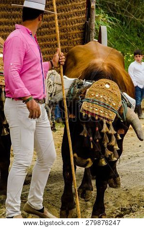 Almayate, Spain - April 21, 2018 Traditional Andalusian Contest Based On The Presentation Of The Abi