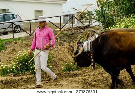 Almayate, Spain - April 21, 2018 Traditional Andalusian Contest Based On The Presentation Of The Abi