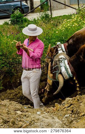 Almayate, Spain - April 21, 2018 Traditional Andalusian Contest Based On The Presentation Of The Abi