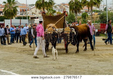 Almayate, Spain - April 21, 2018 Traditional Andalusian Contest Based On The Presentation Of The Abi