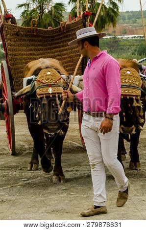 Almayate, Spain - April 21, 2018 Traditional Andalusian Contest Based On The Presentation Of The Abi